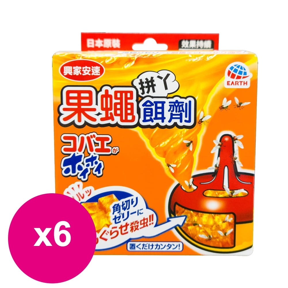 【興家安速】果蠅餌劑38g-6入組(三面擊殺!高保濕塊狀果凍!)