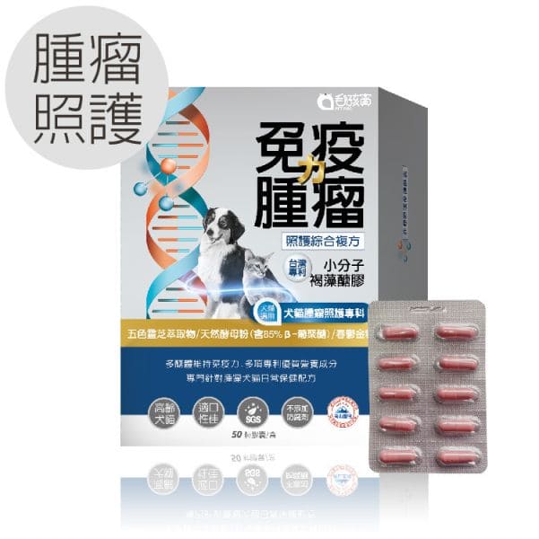 肝腎2合1保健膠囊-冬蟲夏草菌絲體複方(50粒/盒)