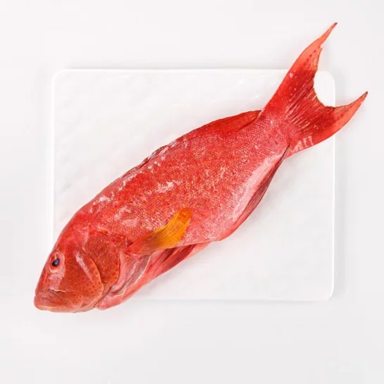 空運燕尾紅條魚(500-600g/條)
