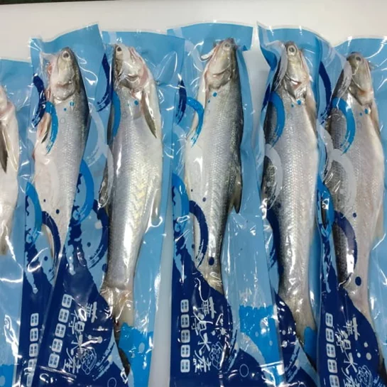 新鮮午仔魚(250-280g/尾)